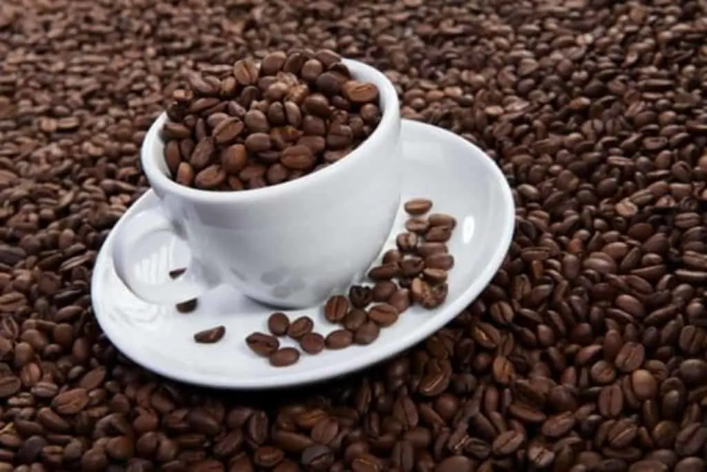 A cup of cocoa beans