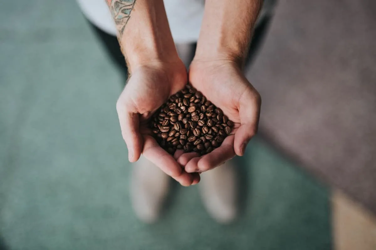 Coffee beans in the palm of a hand