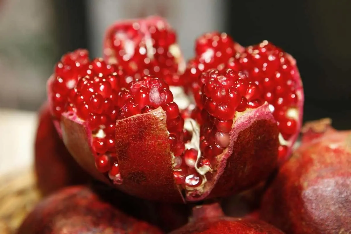  Pomegranate acts as an aphrodisiac