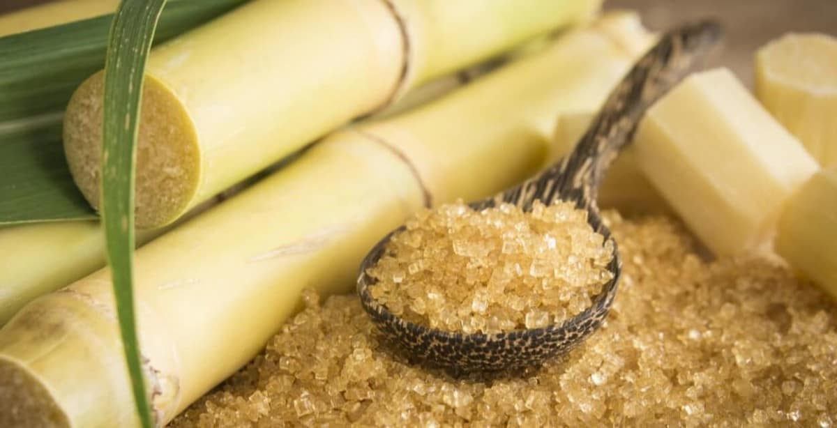 Sugar-Cane in Uptime Energy