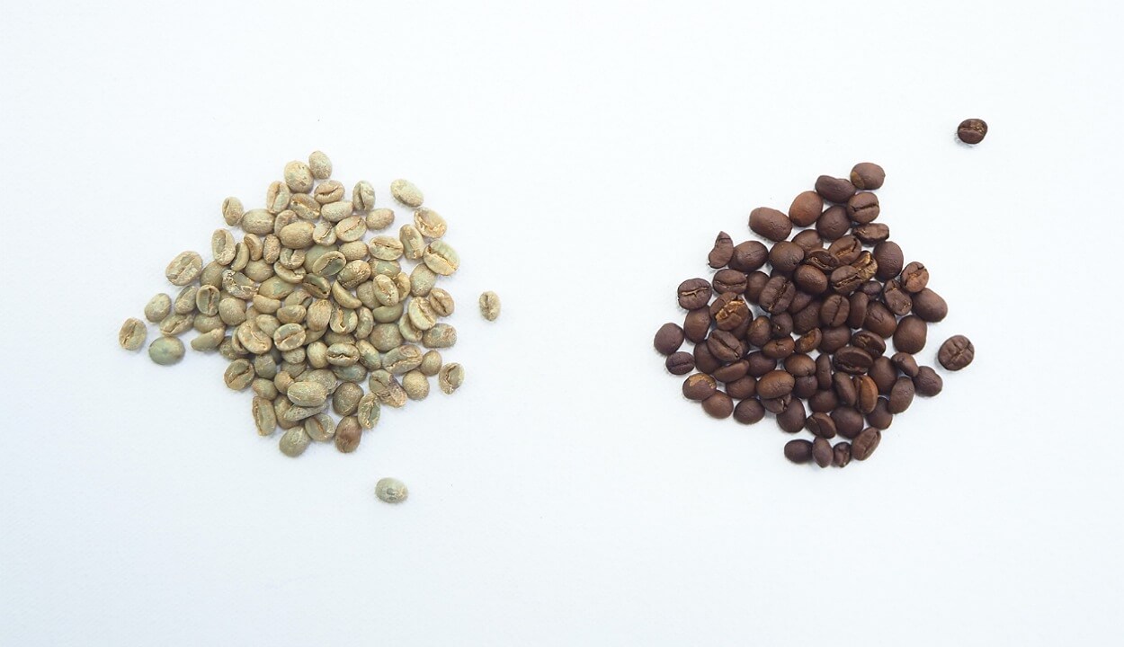 Green coffee beans extract 