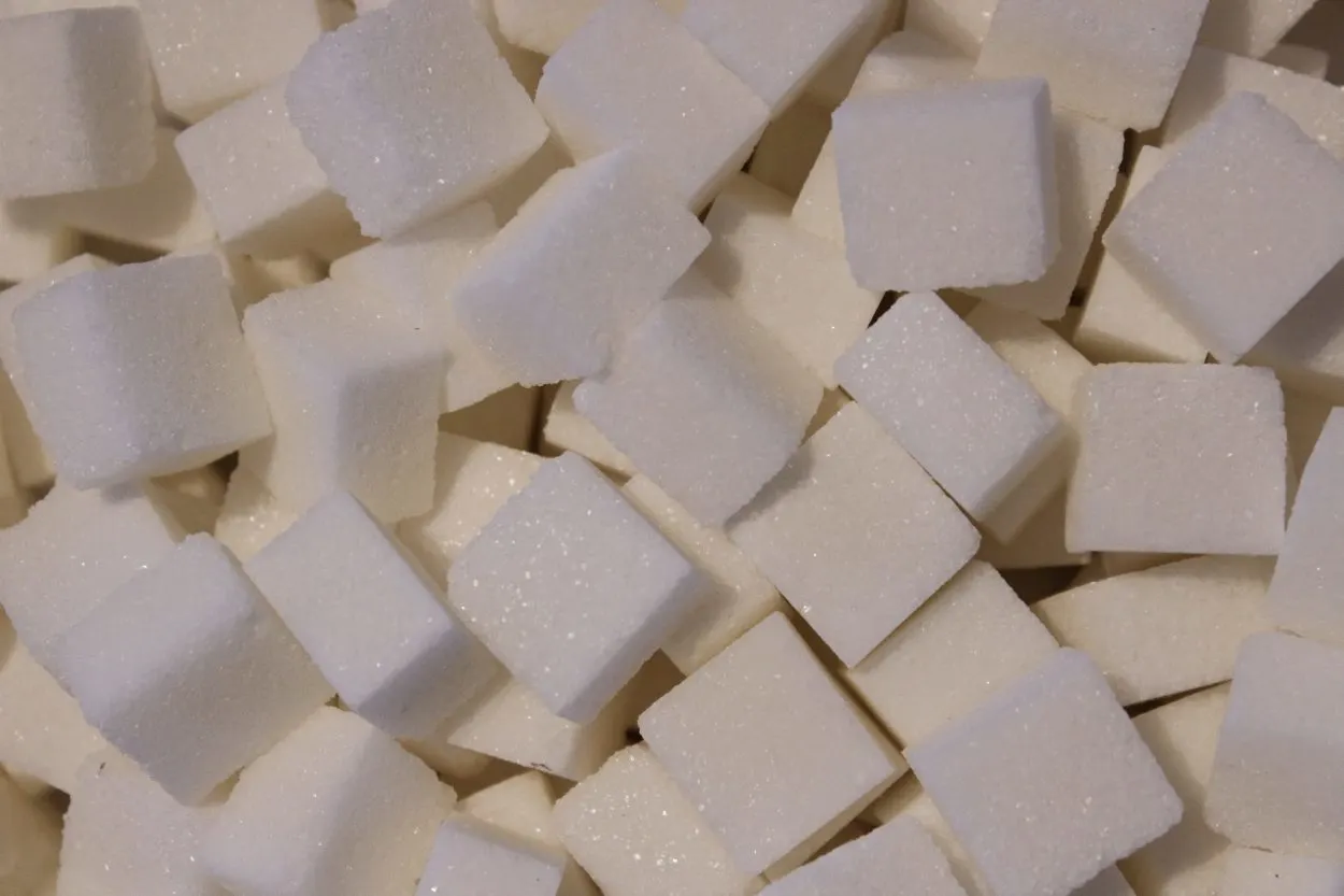 Sugar can cause type 2 diabetes