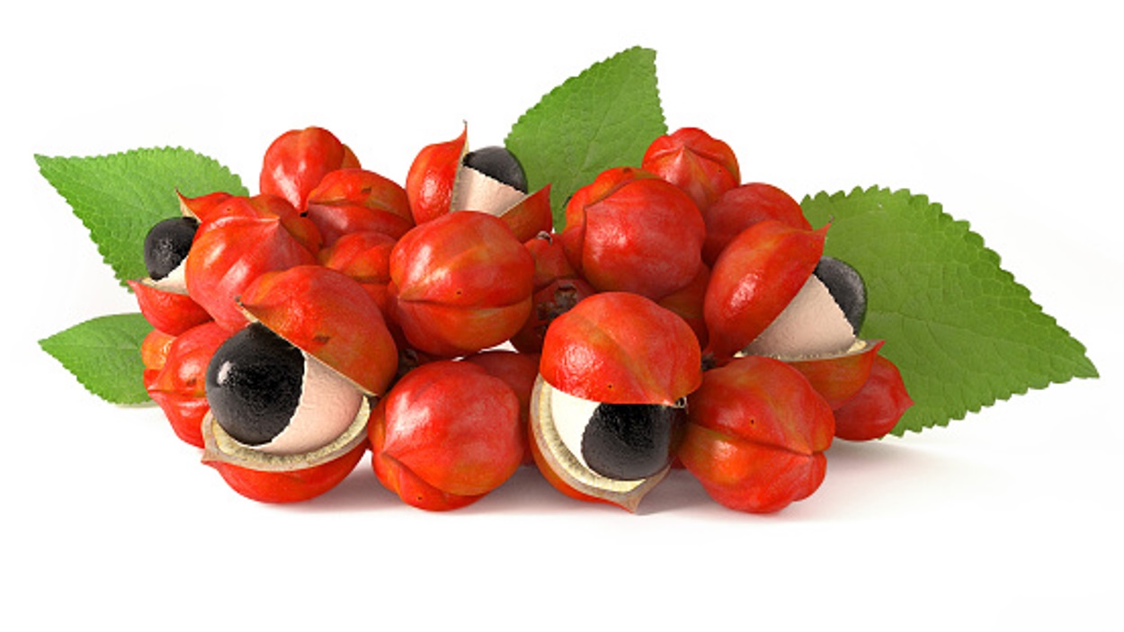 Guarana is a famous ingredient