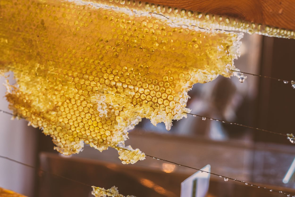 Natural honey from Australia